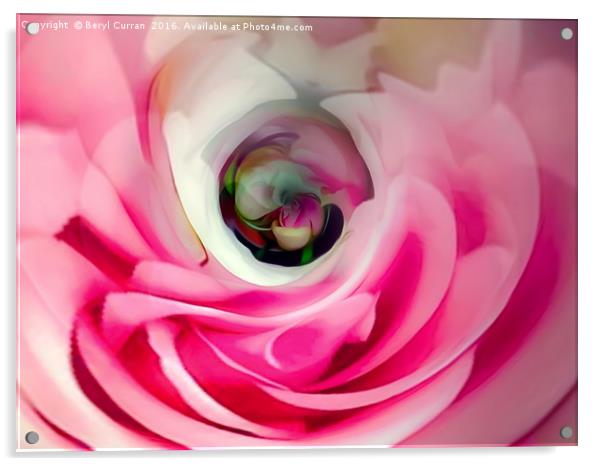 Soft Pink Rose Bud Acrylic by Beryl Curran