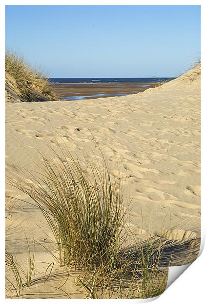 the Grasses and Sands of Wells Beach Print by Charlie Gray LRPS