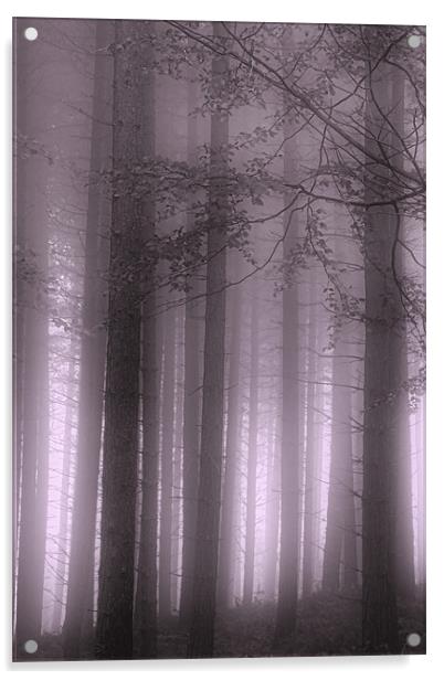 Purple Mist Acrylic by Ann Garrett