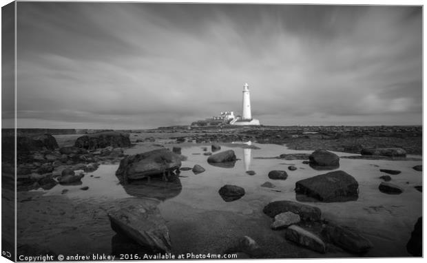 St Marys lighthouse Canvas Print by andrew blakey