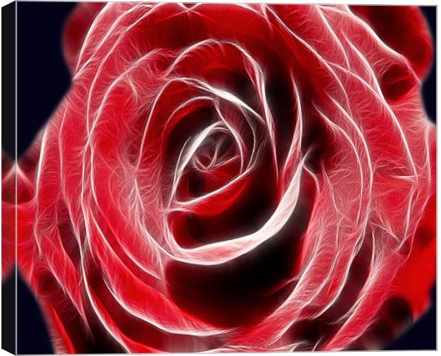 Red Rose Light Canvas Print by Darren Smith