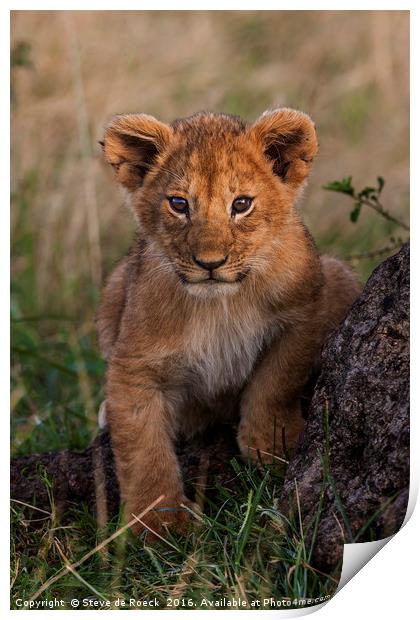 Lion cubs at play Print by Steve de Roeck