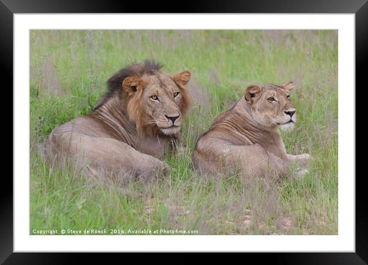 The Royal Couple Framed Mounted Print by Steve de Roeck