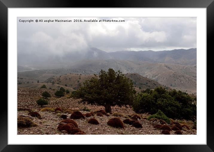 A cloudy day in jungle, Framed Mounted Print by Ali asghar Mazinanian