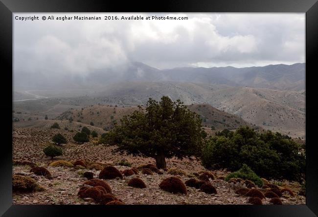 A cloudy day in jungle, Framed Print by Ali asghar Mazinanian