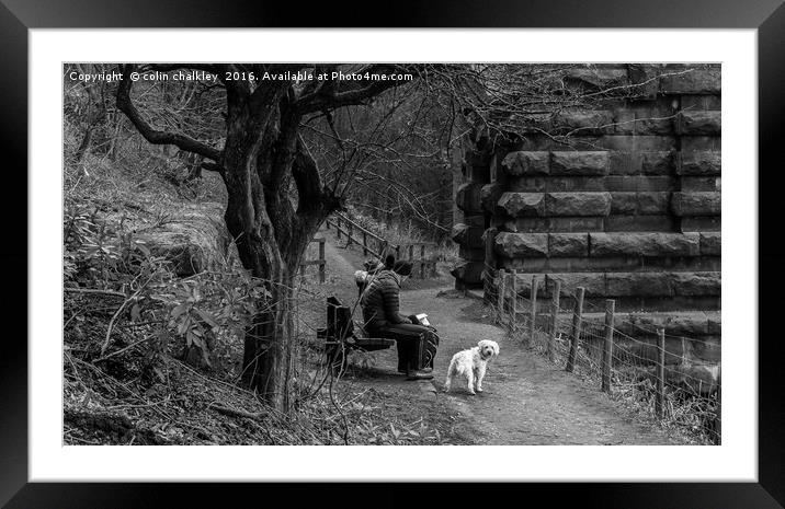 Max at Ladybower Framed Mounted Print by colin chalkley