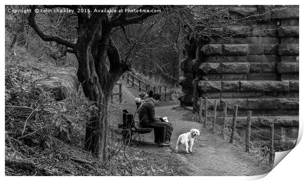 Max at Ladybower Print by colin chalkley