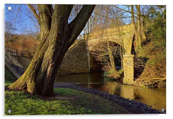 Archer Road Bridge & River Sheaf Acrylic by Darren Galpin