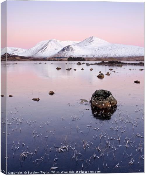Pinky Dawn Canvas Print by Stephen Taylor
