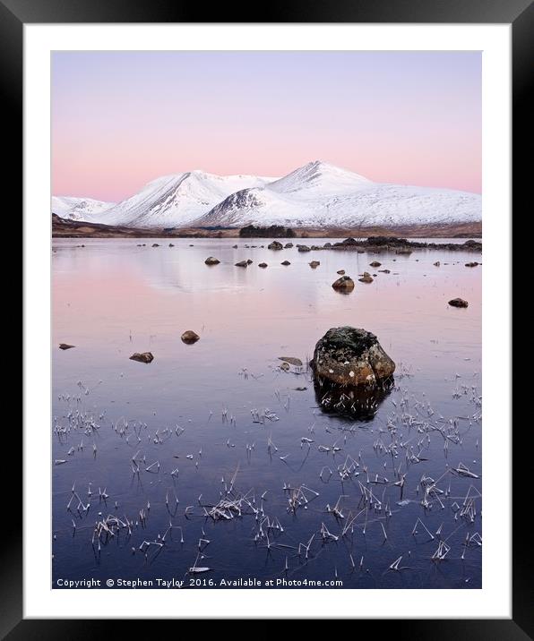 Pinky Dawn Framed Mounted Print by Stephen Taylor