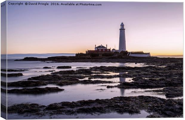 St. Marys Lighthouse Canvas Print by David Pringle