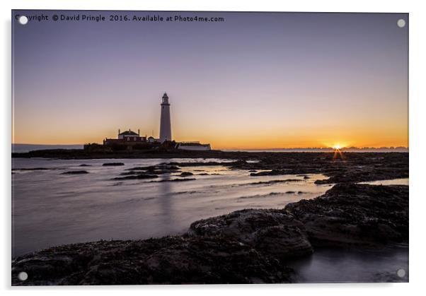 St. Marys Lighthouse Acrylic by David Pringle