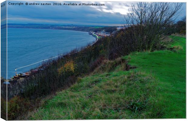 I CAN SEE FILEY Canvas Print by andrew saxton