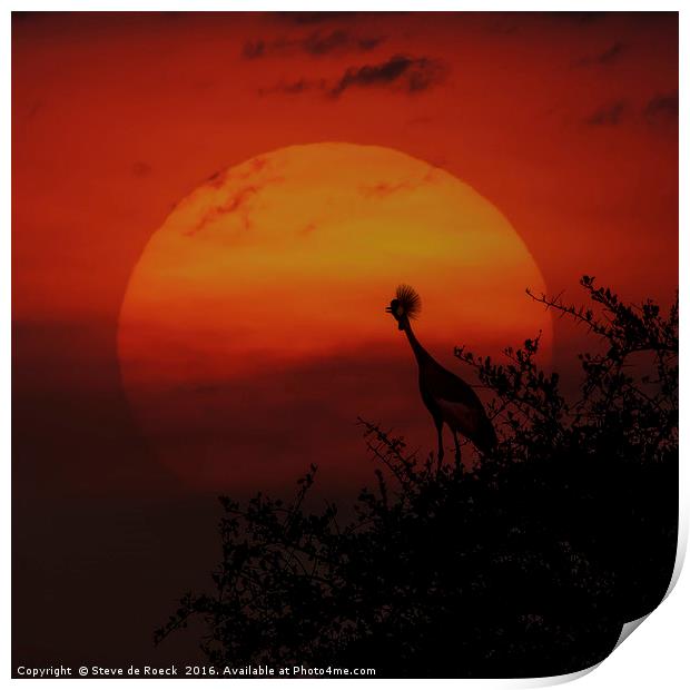 Grey Crowned Crane Welcomes The Dawn Print by Steve de Roeck