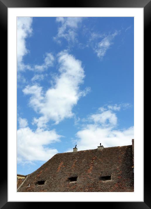 old roof Framed Mounted Print by Marinela Feier