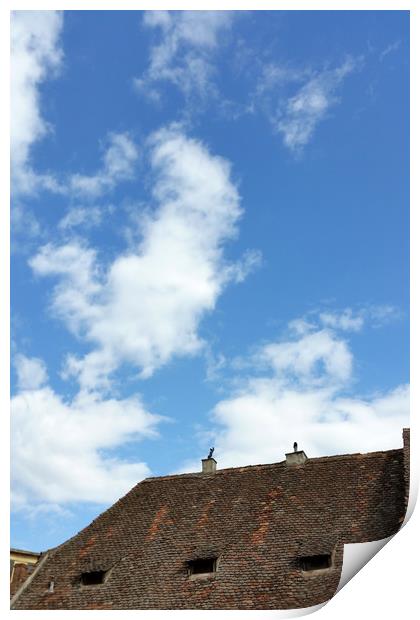 old roof Print by Marinela Feier