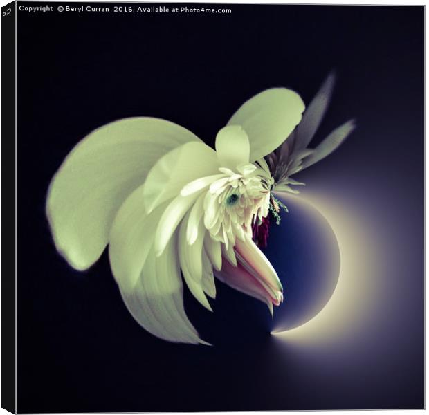 Enchanted Lunar Bouquet Canvas Print by Beryl Curran