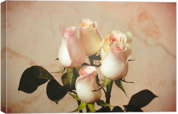 Vintage roses Canvas Print by Svetlana Korneliuk