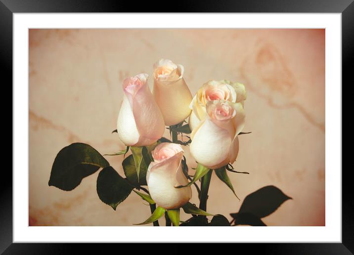 Vintage roses Framed Mounted Print by Svetlana Korneliuk