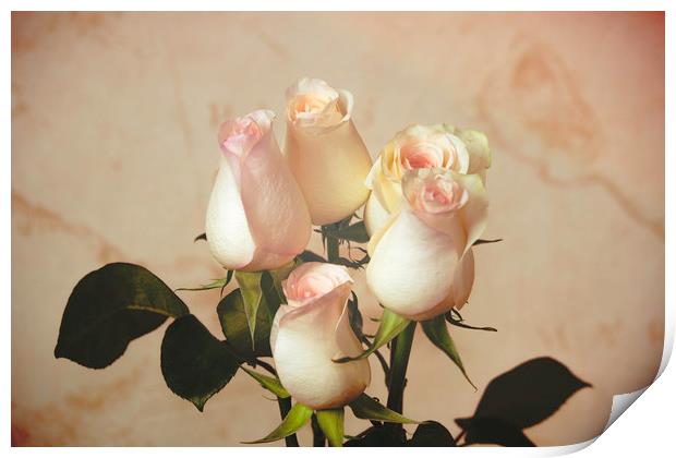 Vintage roses Print by Svetlana Korneliuk