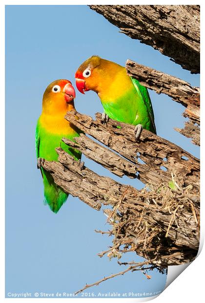 Lovebirds Nesting Print by Steve de Roeck