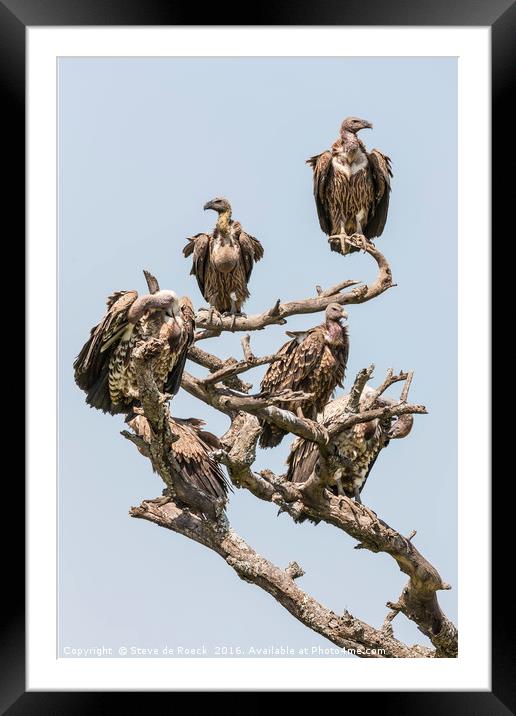 Griffon Vultures Gather For The Feast. Framed Mounted Print by Steve de Roeck
