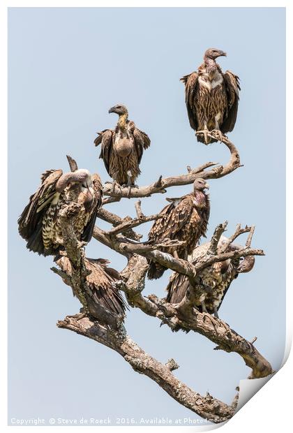 Griffon Vultures Gather For The Feast. Print by Steve de Roeck