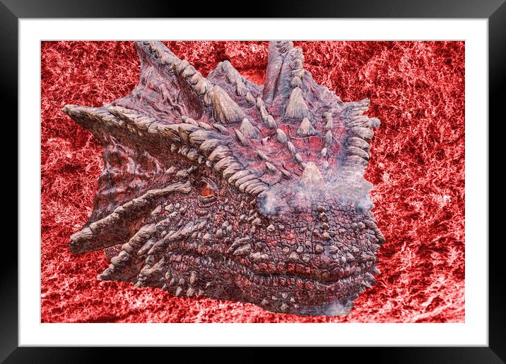 Fire Dragon Framed Mounted Print by Steve Purnell