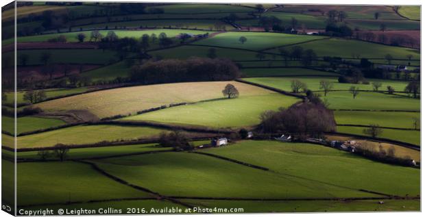 Green green grass of Wales Canvas Print by Leighton Collins