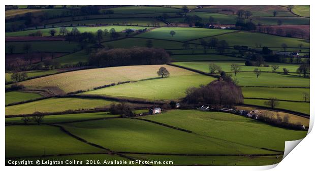Green green grass of Wales Print by Leighton Collins