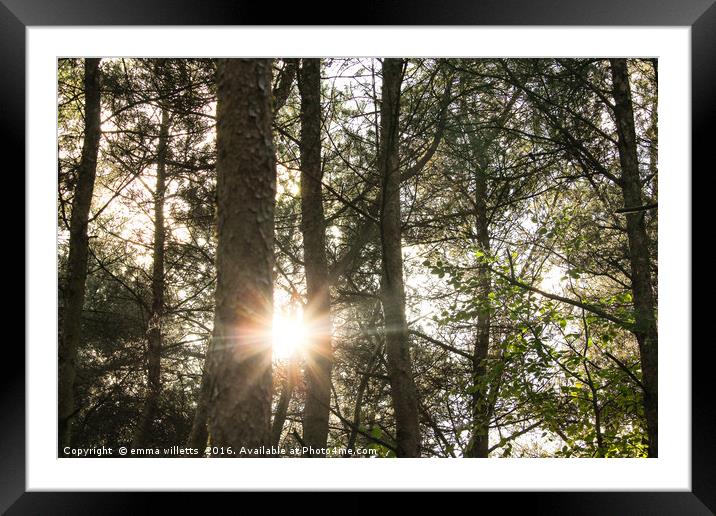 Autumn sun Framed Mounted Print by emma willetts