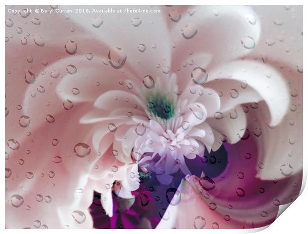 Dainty Daisies in the Rain Print by Beryl Curran