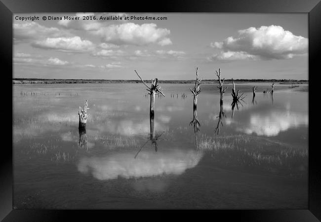 High Tide, Tollesbury Marshes, Essex. Framed Print by Diana Mower
