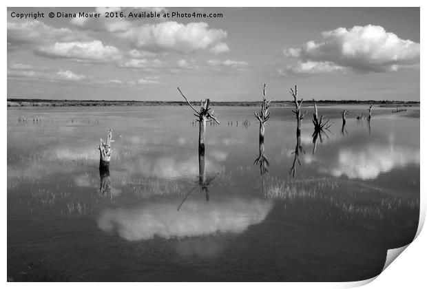 High Tide, Tollesbury Marshes, Essex. Print by Diana Mower