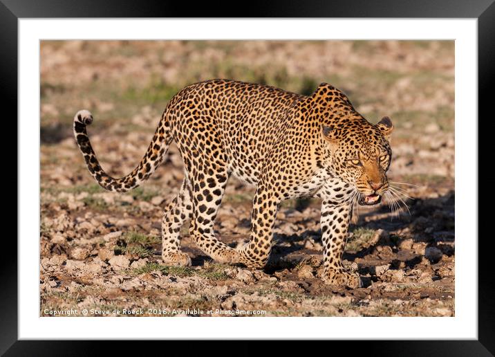 Just How Fast Did You Say You Could Run? Framed Mounted Print by Steve de Roeck
