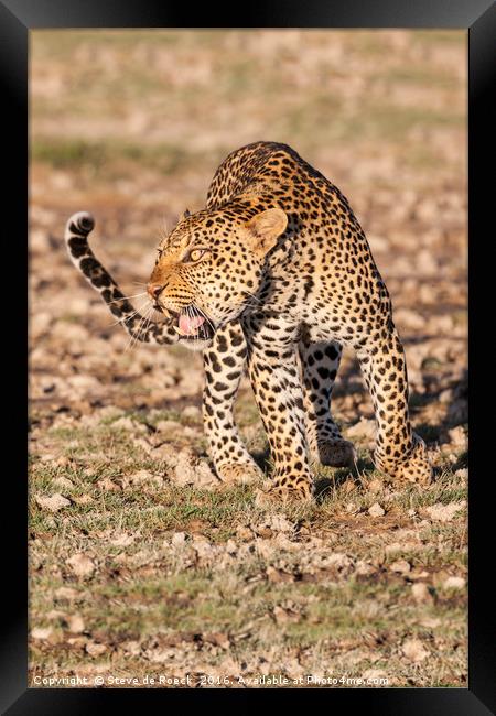 Fury Framed Print by Steve de Roeck