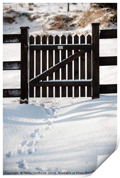 Footprints Through the Gate Print by Helen Northcott