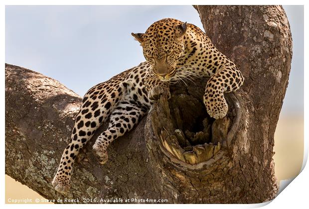 High And Mighty Leopard Print by Steve de Roeck