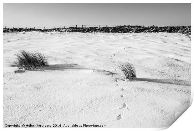 Footprints in the Snow i Print by Helen Northcott