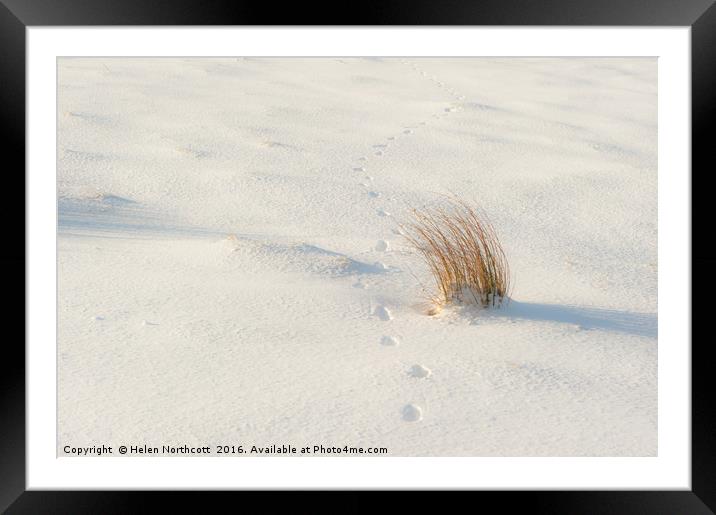 Footprints and Reeds i Framed Mounted Print by Helen Northcott
