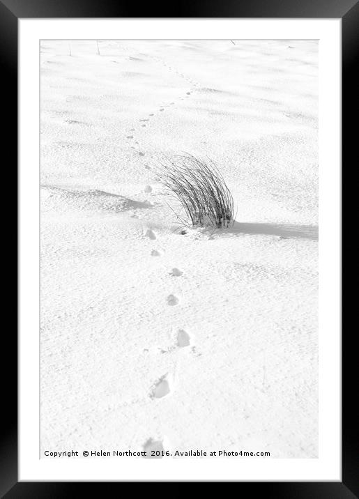 Footprints in the Snow iii Framed Mounted Print by Helen Northcott