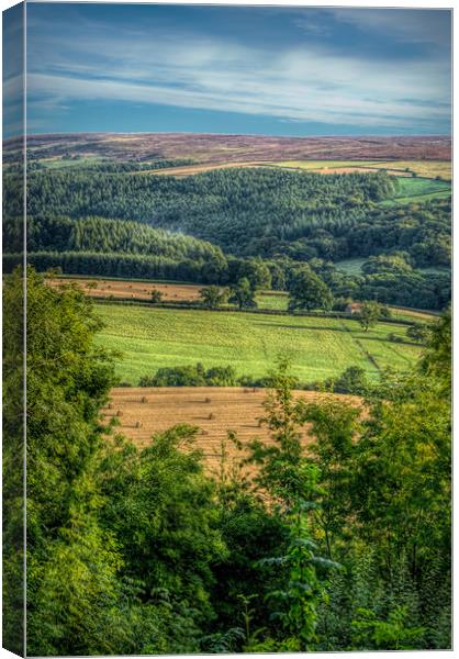 Surprise View Canvas Print by Colin Metcalf
