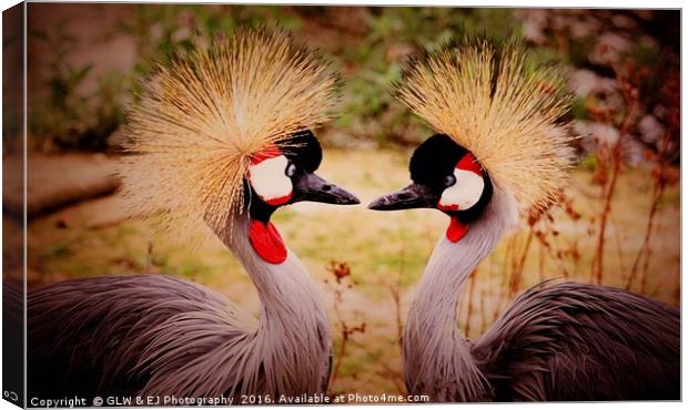 Cranes In Love Canvas Print by GLW & EJ Photography
