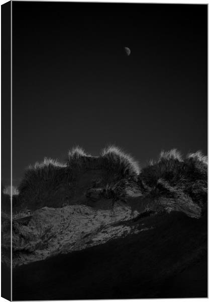 Moonrise Over The Dunes Canvas Print by graham young