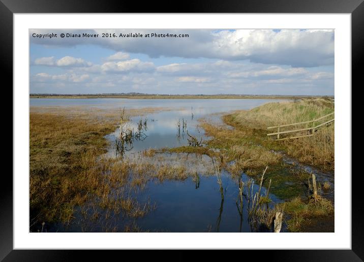 High Tide, Tollesbury Marshes, Essex. Framed Mounted Print by Diana Mower