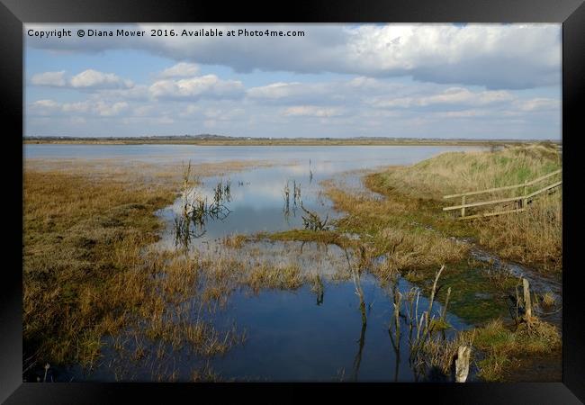 High Tide, Tollesbury Marshes, Essex. Framed Print by Diana Mower