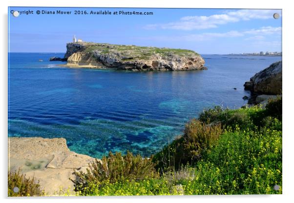 St Pauls Island Malta Acrylic by Diana Mower