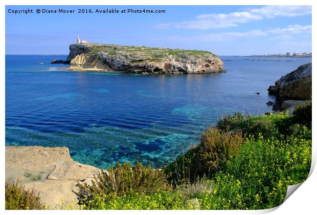 St Pauls Island Malta Print by Diana Mower