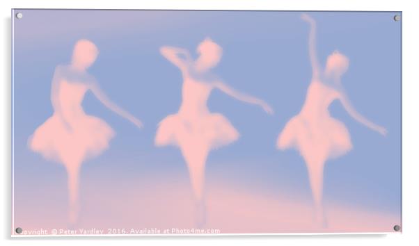 The Ballerina (in duotone) Acrylic by Peter Yardley