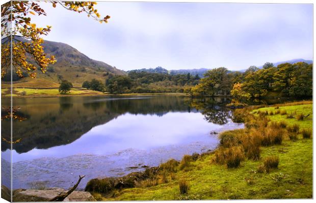 Grasmere Reflections Canvas Print by Jacqi Elmslie